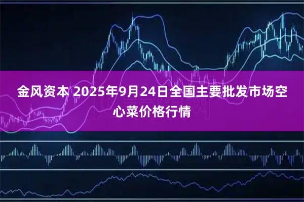 金风资本 2025年9月24日全国主要批发市场空心菜价格行情