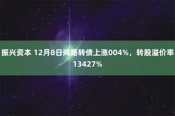 振兴资本 12月8日鸿路转债上涨004%，转股溢价率13427%